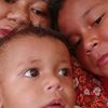 ferdin.adrianus.d