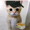 ris_938