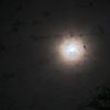 rashed.majed02