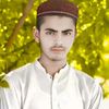 muhammadsaad8213
