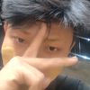1mdolphin