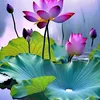 kim.ngoc1697