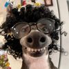 extrabork