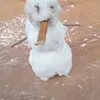 elpolnitoesmassaludable