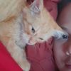 midlejune_2