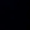 stxphx.nie31