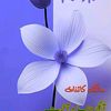 user184297561577