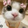 lg_parba....49