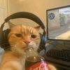nattawin514