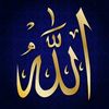 user2557275680250