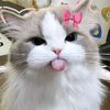 .listanti_listanti5