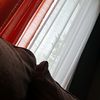 richie_54_