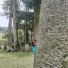 lince.septiwati