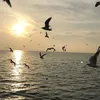 duongngocdiep_23.7