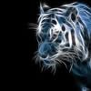 lait.gryany