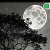 putra.adrian277