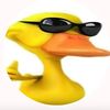 wwwtiktok.so0