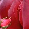 user2409403019313