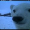 bearrr901