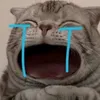_dkrkkv