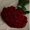 user5811522048311