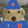 team_udechile_lda