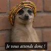 coach.chouchou237