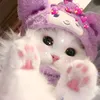 susihelps_