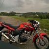 rockyal_7