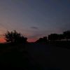 finik_sa