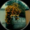 hamidafzaal3