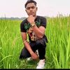 dilour1230a