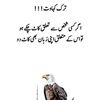 khan449204