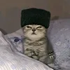 kalulka_0