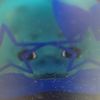 bluey_sillyseal