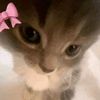 martina_kitty5