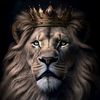mi.kader2