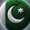 rana_sab_026