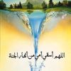 user4461165435034