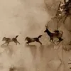 moonyxpadfoot0