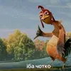 mtb_trial