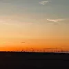 amelidgt2oo