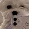 its_me.lilia03