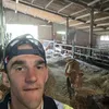 guillaume0387