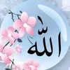 ضياء النور