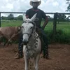 gilberto.francisc759