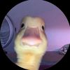 the_real_alpomo