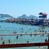 roberta.araujo84