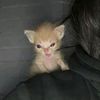 urlove.noa