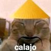 matias_14024